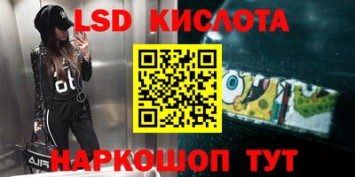 прущие грибы Канаш