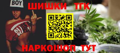 прущие грибы Канаш