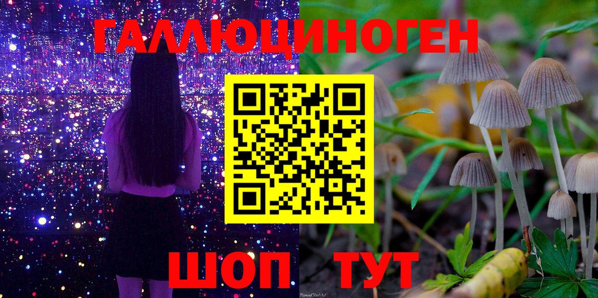 Псилоцибиновые грибы Psilocybe Куйбышев